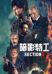 暗影特工