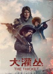 大灌丛
