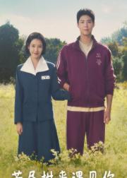 苦尽柑来遇见你