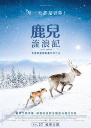 小鹿艾洛：极地的冒险史诗