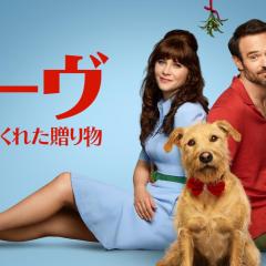 爱犬莫福 - k9BnbCuVtqX1cJdVMUknDymcxRC.jpg