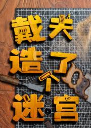 戴夫造了个迷宫
