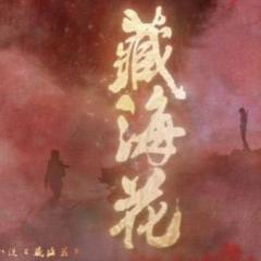 藏海花 - lDRN0lpJP6iZulwwHWhS6PlNPAD.jpg