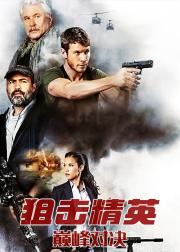 狙击精英：巅峰对决