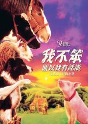 小猪宝贝