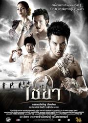 泰南拳